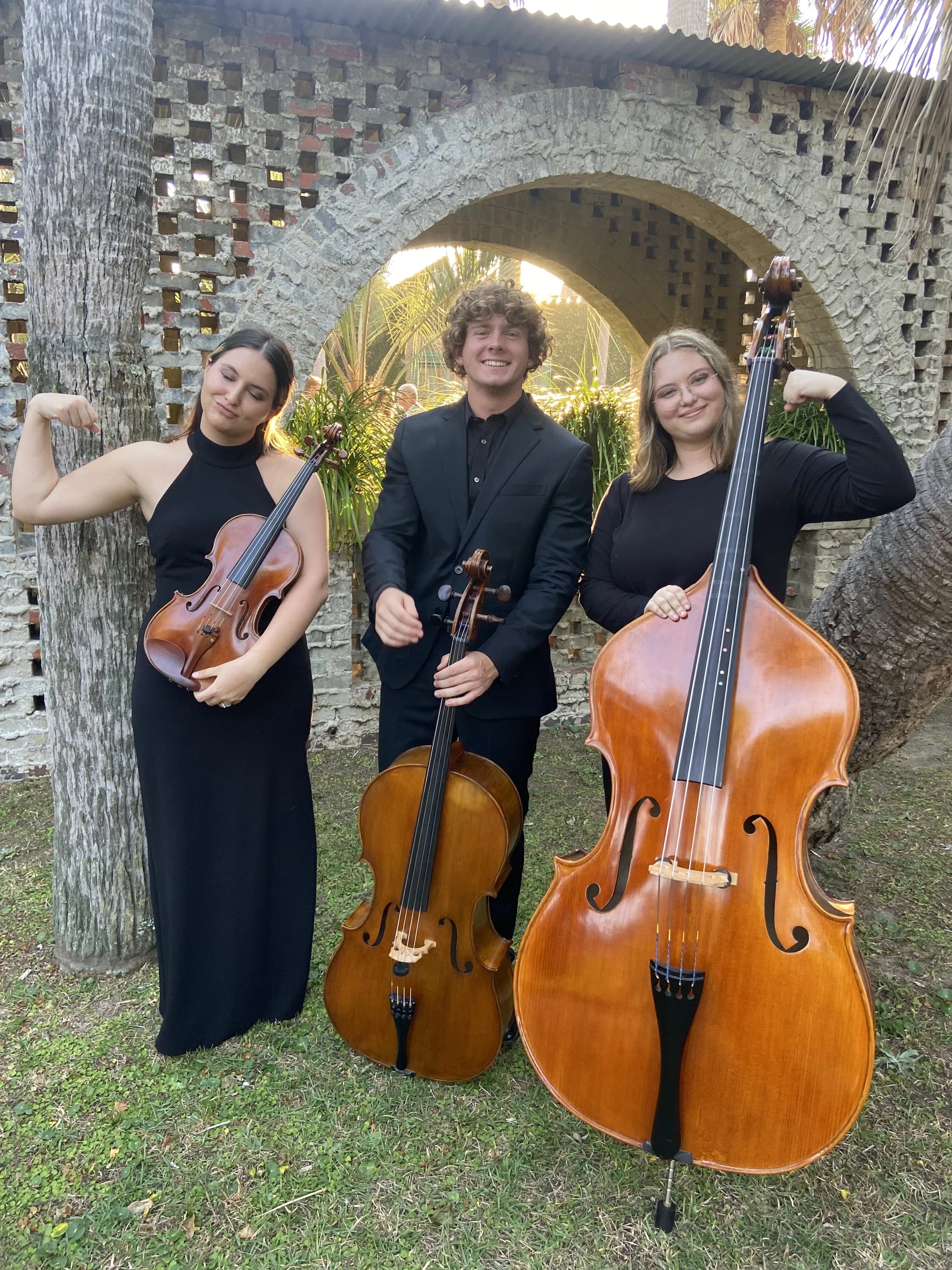 Myrtle Beach Strings - wedding band
