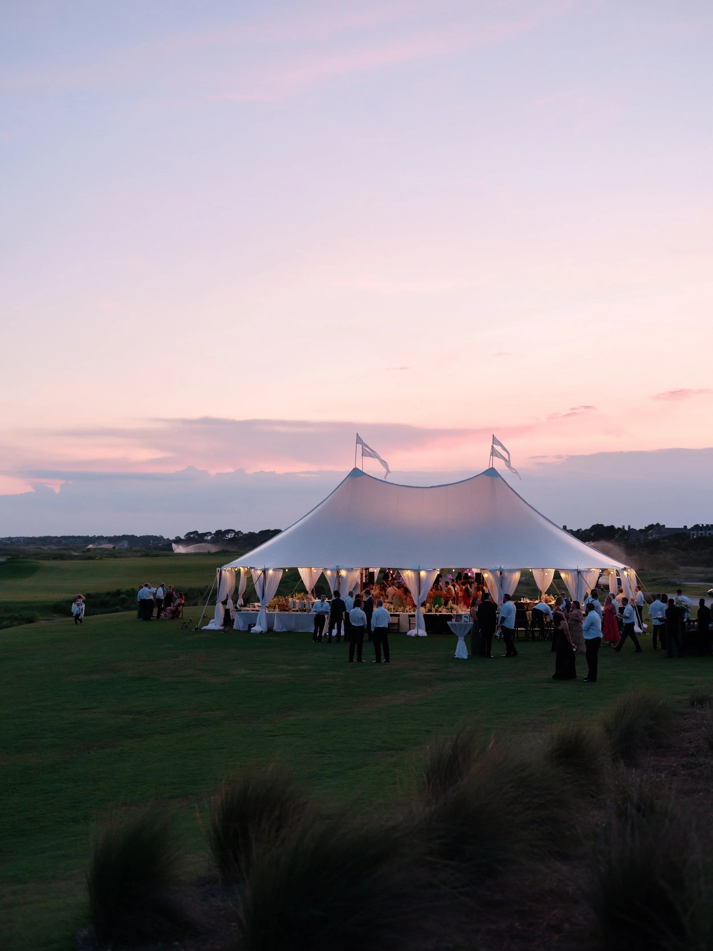 Velvet Bay Groove Company — Charleston, SC