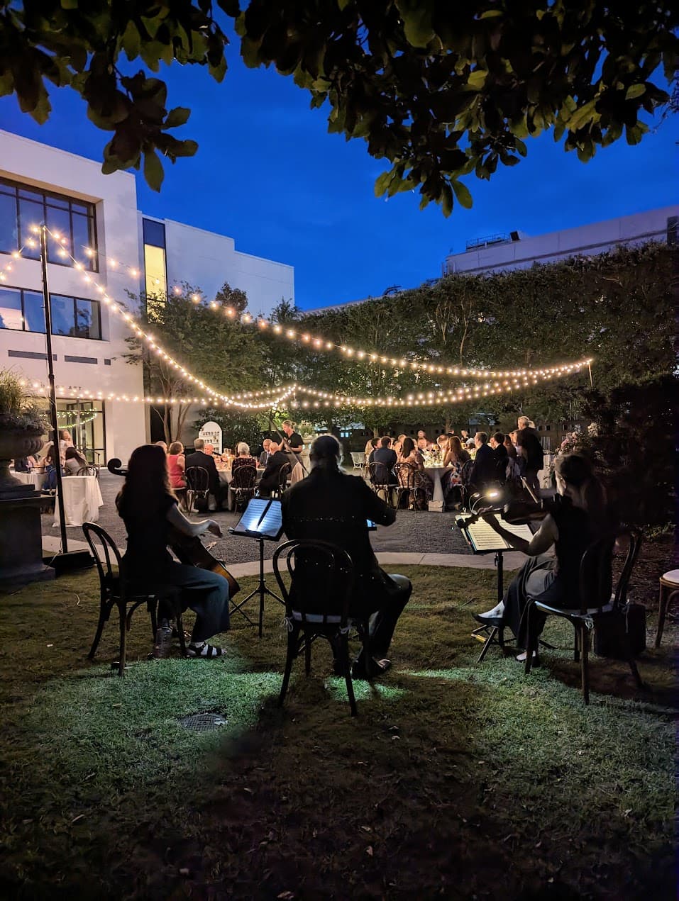 Hilton Head Strings - Uplighting and Cafe Lighting
