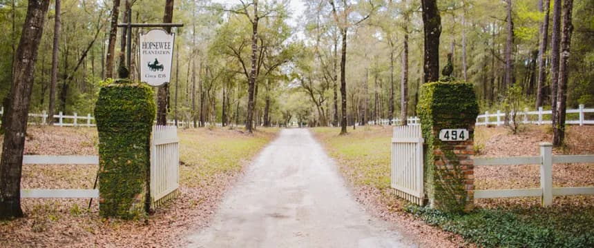 Hopsewee Plantation - wedding venue